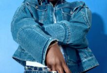 Fireboy DML